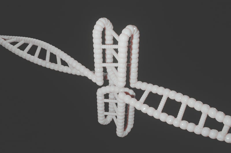 DNA structure